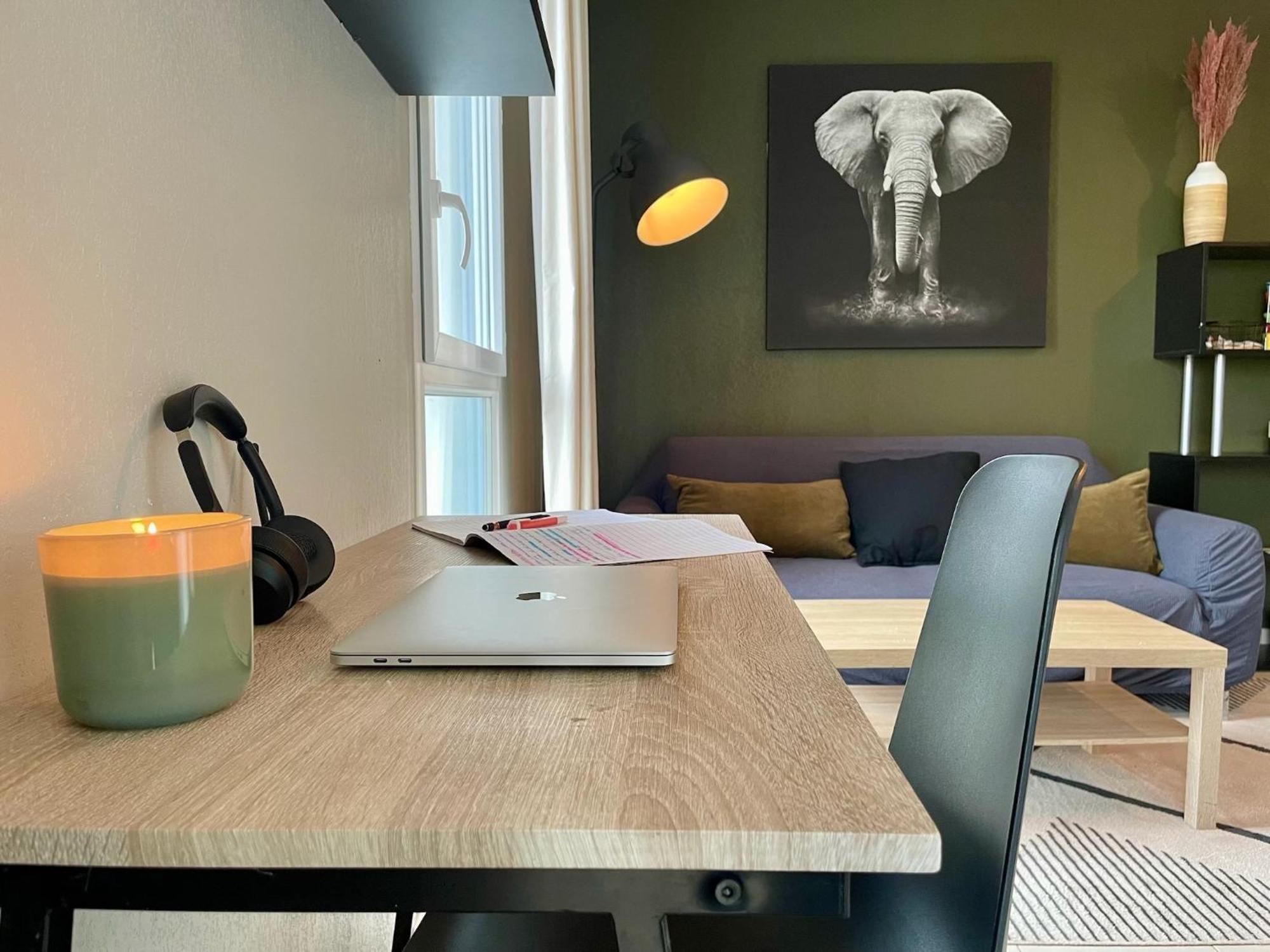 Le Colorado - Proche Airbus Apartment